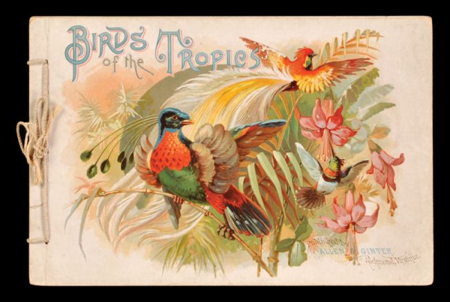 ALB A4 Birds of the Tropics